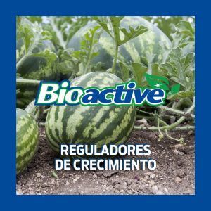 Bioactive