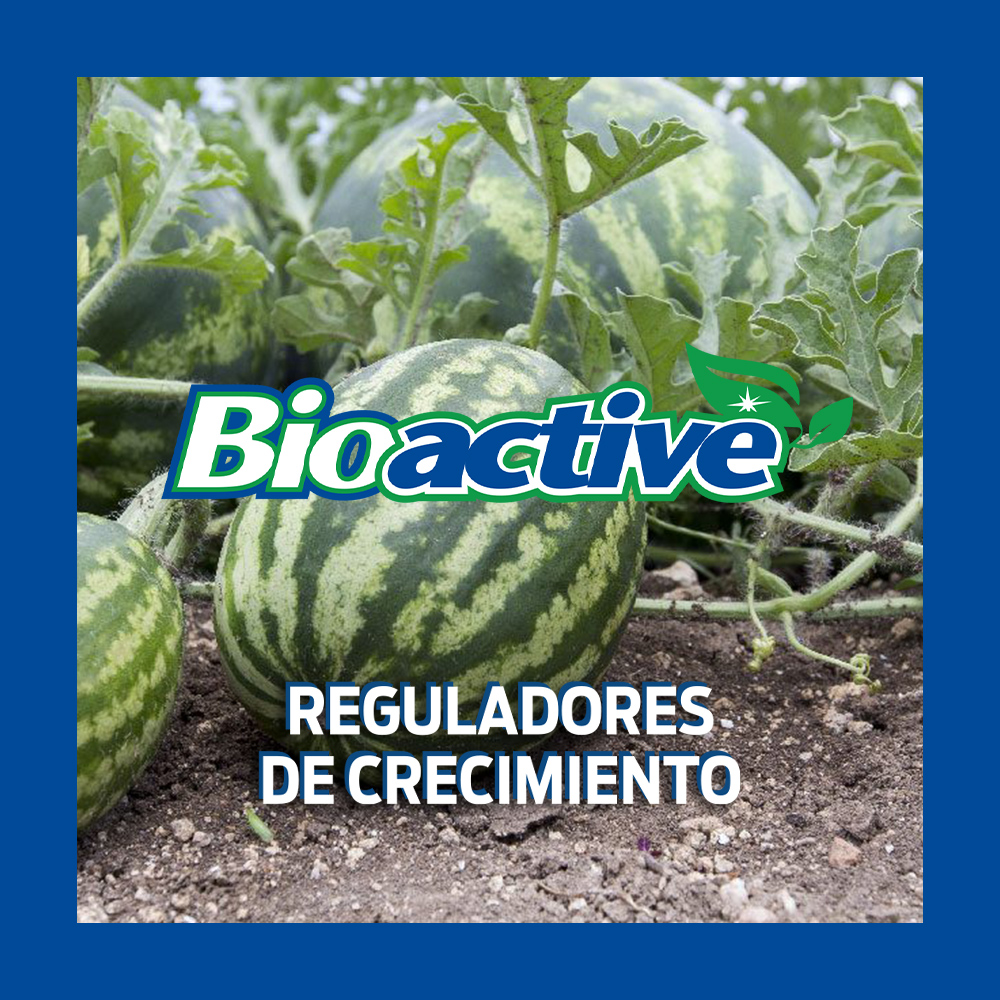 Bioactive