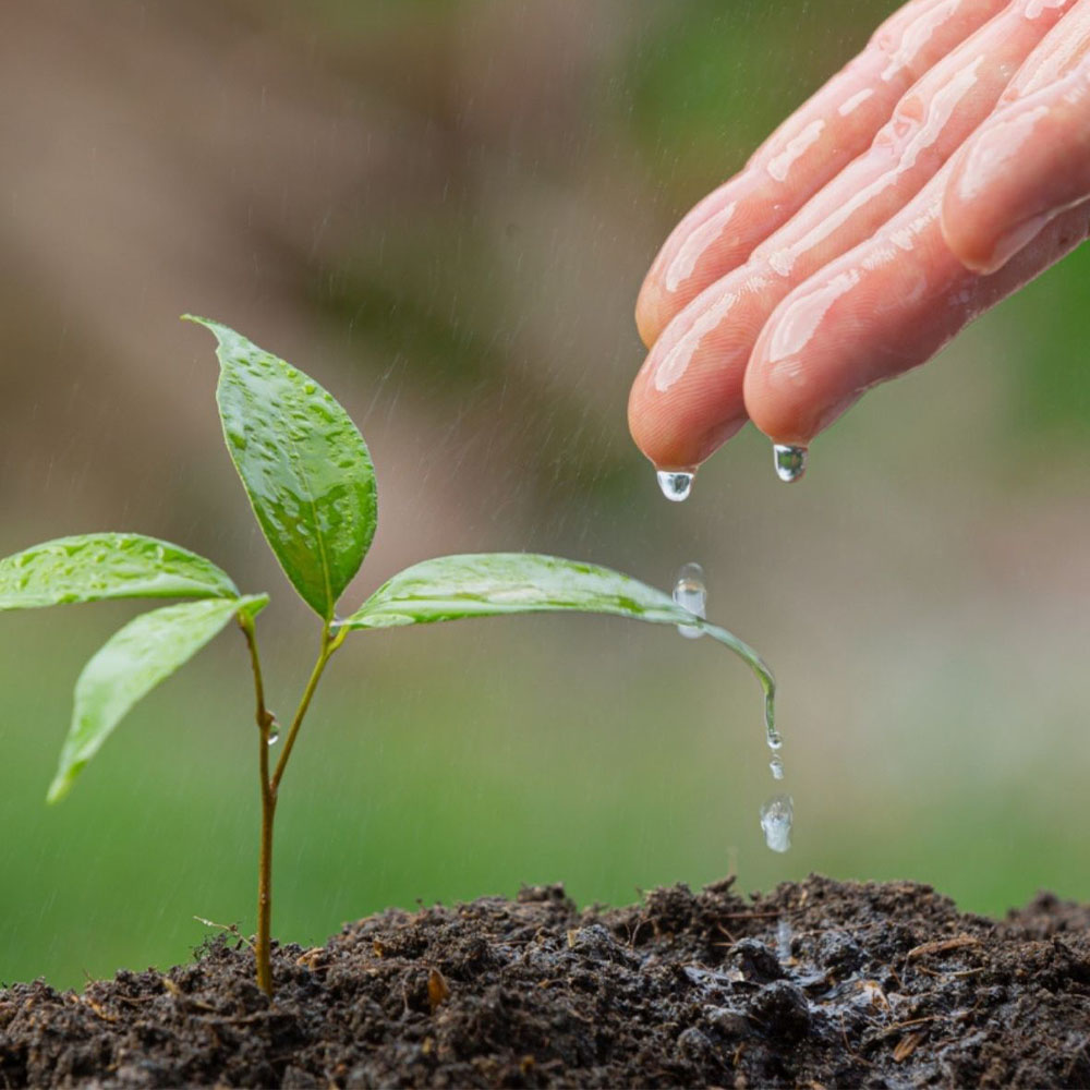 X-Tick buffer - Image 3