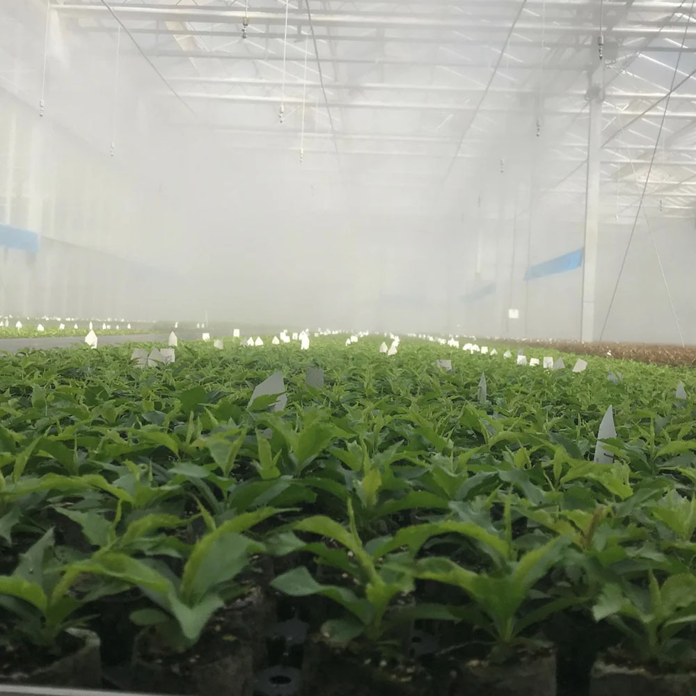 X-Tick buffer - Image 4