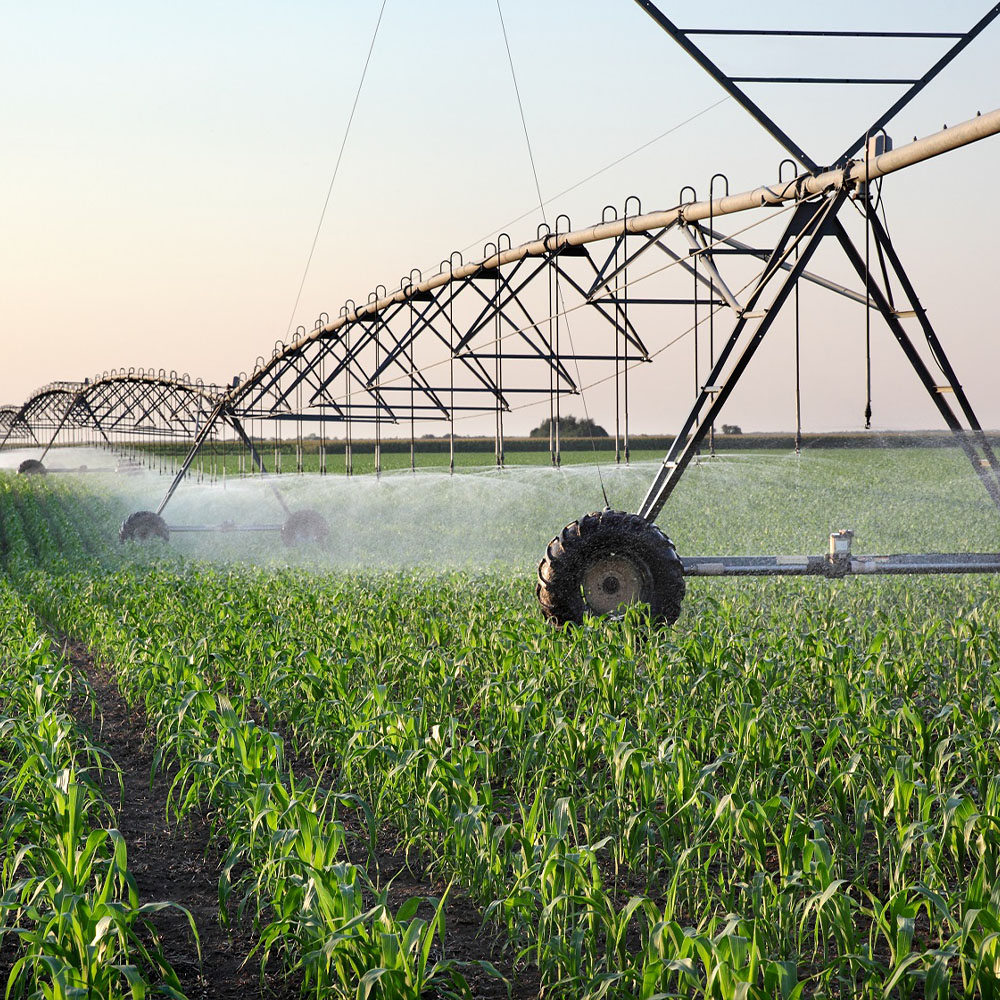 X-Tick buffer - Image 5