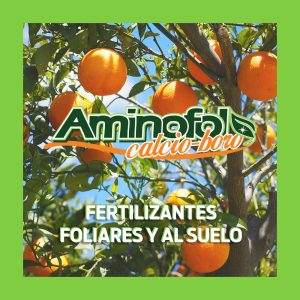 Aminofol calcio boro