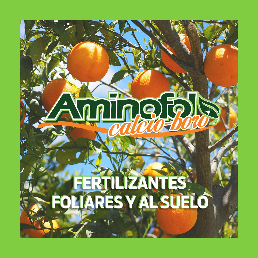 Aminofol calcio boro