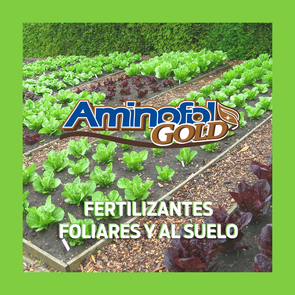 Aminofol GOLD