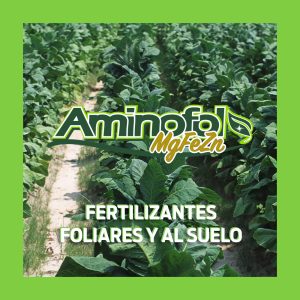 Aminofol MgFeZn