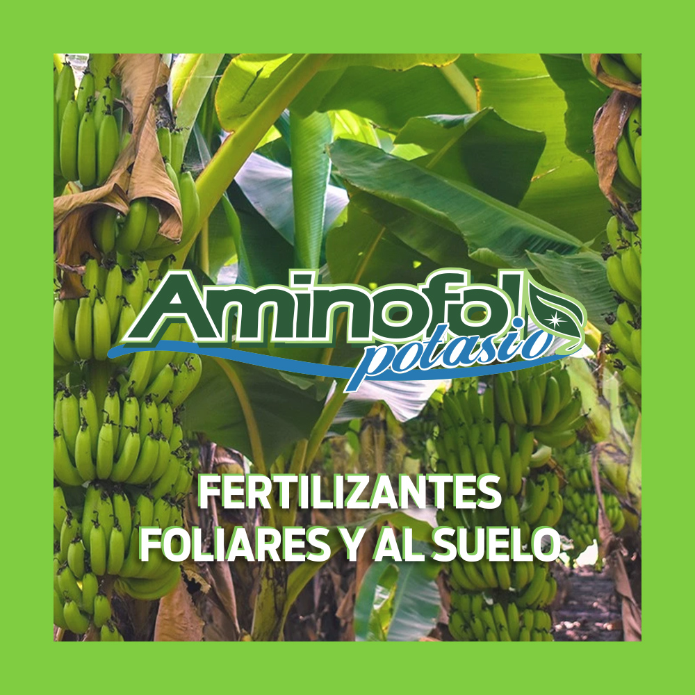 Aminofol potasio