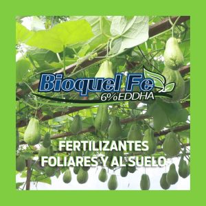 Bioquel Fe 6% EDDHA