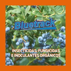 Bluetrack