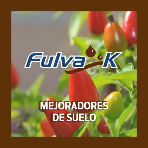 Fulva K
