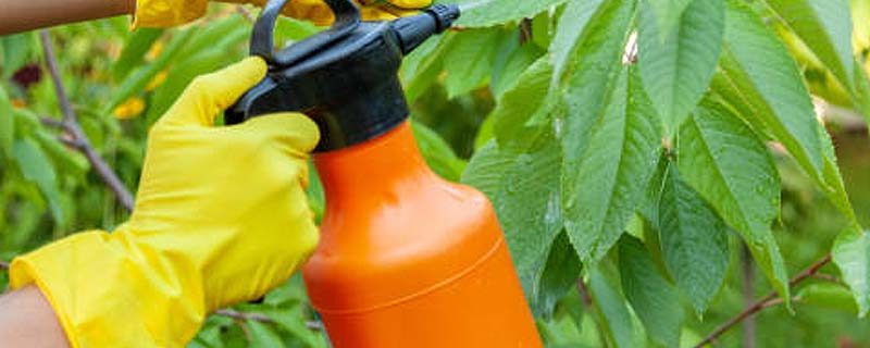 insecticidas orgánicos