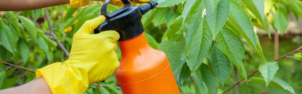 insecticidas orgánicos